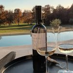 Damjanic vino ob bazenu 05