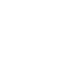 Fish Icon